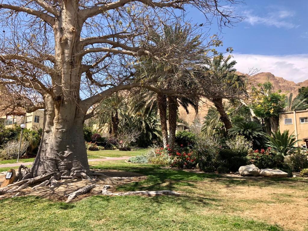 Ein Gedi Caravan By Dory Caravan Exterior photo